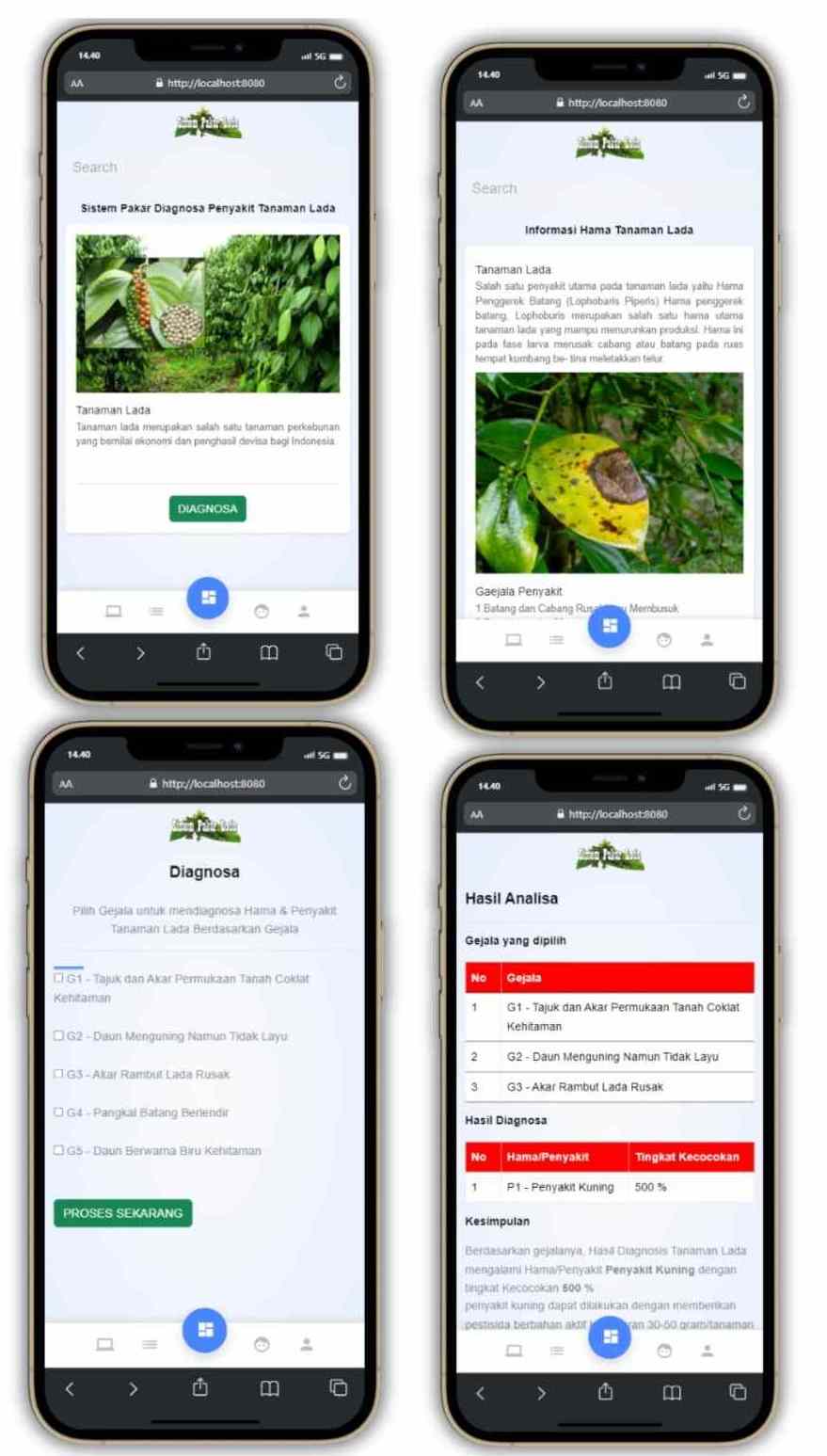 Aplikasi Android Diagnosa Penyakit Lada